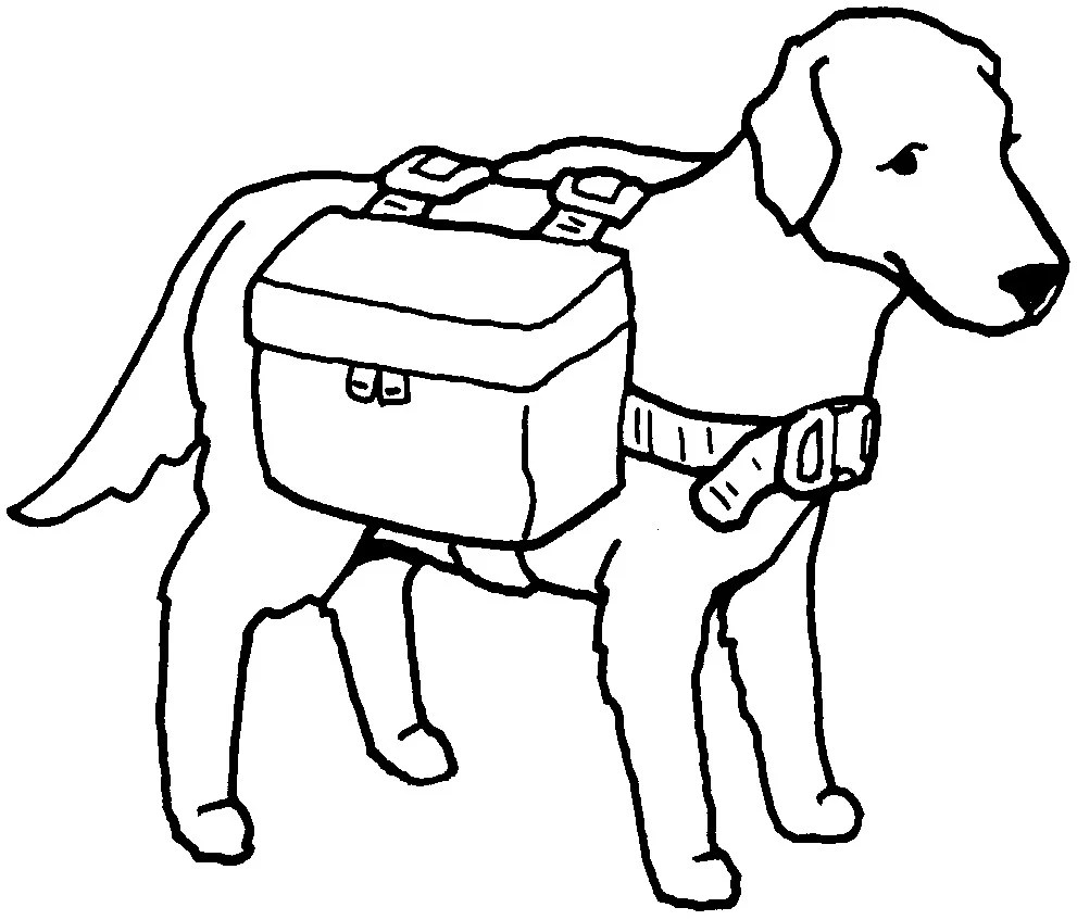 204 – Dog Back Pack Pattern