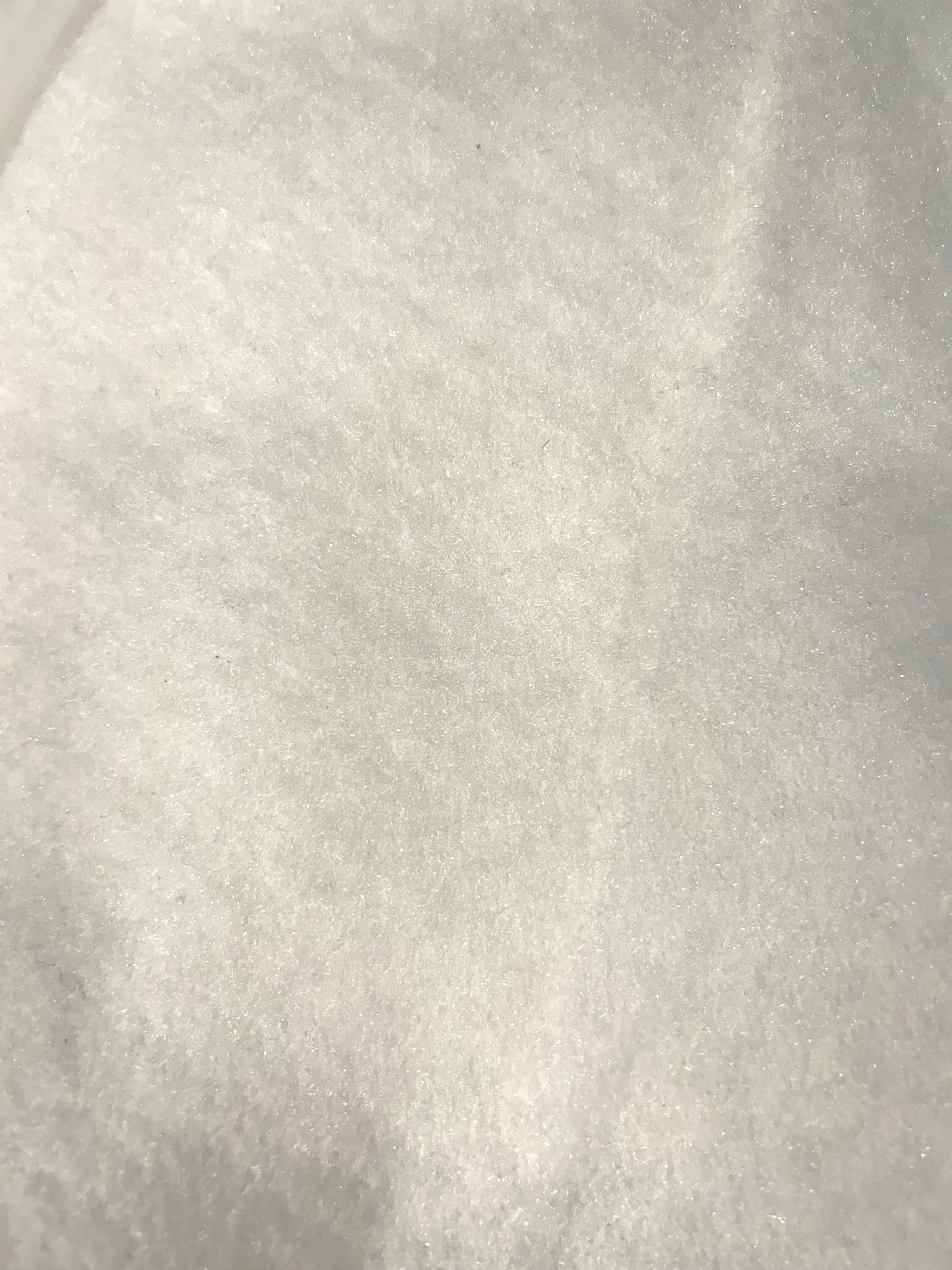 Neeldlepunch – Regular Neeldlepunch – Regular