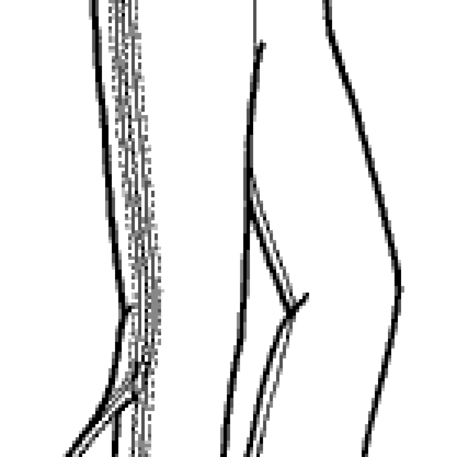 147 – Women’s Cascade Powder Pants Pattern 147 – Women’s Cascade Powder Pants Pattern