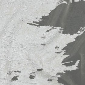 Metallic White Abstract Luxury Burnout Brocade Metallic White Abstract Luxury Burnout Brocade