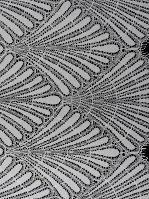 Corded Raschel Lace Panel with Finished Edges – Ivory Fan Palm Scallops Corded Raschel Lace Panel with Finished Edges – Ivory Fan Palm Scallops