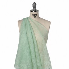 Raschel Lace Panel with Finished Edges – Dusty Aqua Delicate Leafy Vines on Net Raschel Lace Panel with Finished Edges – Dusty Aqua Delicate Leafy Vines on Net