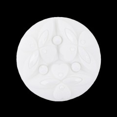 Italian Sugar Swizzle Floral Molded Shank Back Nylon Button – 44L/28mm Italian Sugar Swizzle Floral Molded Shank Back Nylon Button – 44L/28mm