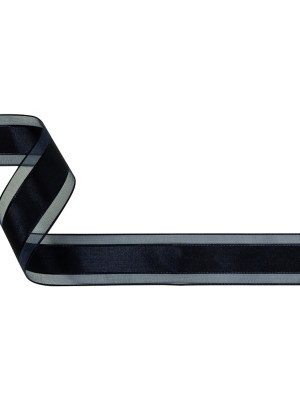 Eclipse Woven Ribbon with Sheer Organza Borders – 1″ Eclipse Woven Ribbon with Sheer Organza Borders – 1″