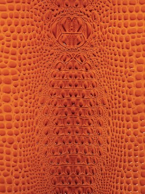 Alligator 3D Embossed Vinyl – Crush Orange – Congaree Collection Alligator 3D Embossed Vinyl – Crush Orange – Congaree Collection