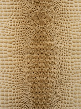 Alligator 3D Embossed Vinyl – Western Cream – Congaree Collection Alligator 3D Embossed Vinyl – Western Cream – Congaree Collection