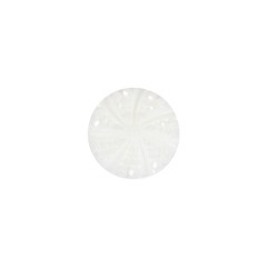 White Bevel Cut Shank Back Plastic Button – 20L/12.5mm White Bevel Cut Shank Back Plastic Button – 20L/12.5mm