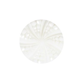 White Bevel Cut Shank Back Plastic Button – 36L/23mm White Bevel Cut Shank Back Plastic Button – 36L/23mm