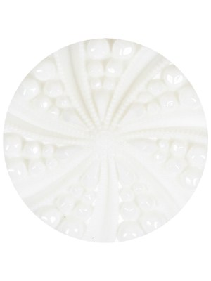 White Bevel Cut Shank Back Plastic Button – 44L/28mm White Bevel Cut Shank Back Plastic Button – 44L/28mm