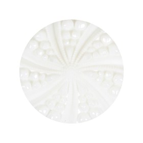 White Bevel Cut Shank Back Plastic Button – 44L/28mm White Bevel Cut Shank Back Plastic Button – 44L/28mm