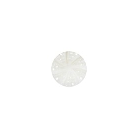 White Bevel Cut Shank Back Plastic Button – 16L/10mm White Bevel Cut Shank Back Plastic Button – 16L/10mm