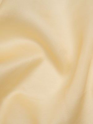 Silk Satin-Faced Organza – Cream – Famous Australian Designer Deadstock Silk Satin-Faced Organza – Cream – Famous Australian Designer Deadstock