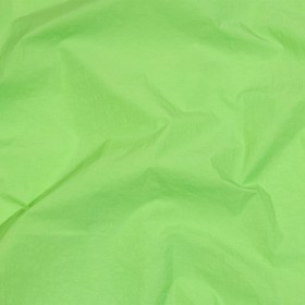 Balenciaga Italian Lime Crinkled Nylon Balenciaga Italian Lime Crinkled Nylon