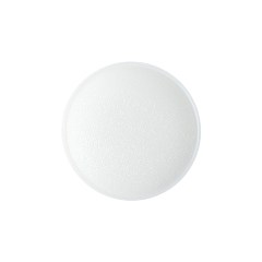 Italian Opaque Lucent White Textured Shank Back Button – 36L/23mm Italian Opaque Lucent White Textured Shank Back Button – 36L/23mm