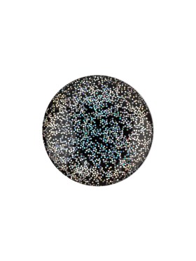 Black Rainbow Glitter Translucent Shank Back Button – 28L/18mm Black Rainbow Glitter Translucent Shank Back Button – 28L/18mm