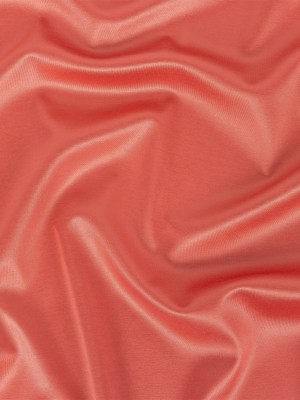 Coral Satin-Faced Interlock Double Knit Coral Satin-Faced Interlock Double Knit