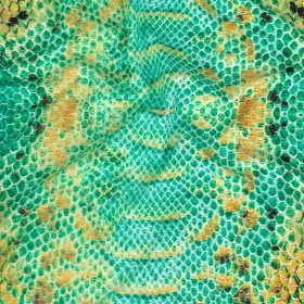 Compression Swimwear Tricot, UV Protective with Aloe Vera Microcapsules – Arcadia and Yellow Python – Caye Collection Compression Swimwear Tricot, UV Protective with Aloe Vera Microcapsules – Arcadia and Yellow Python – Caye Collection