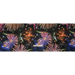 Sustainable and Recycled Viscose Satin Print – Pink, Orange and Black Fireworks and Flowers – Mood Exclusive Mirrored in Nature Sustainable and Recycled Viscose Satin Print – Pink, Orange and Black Fireworks and Flowers – Mood Exclusive Mirrored in Nature