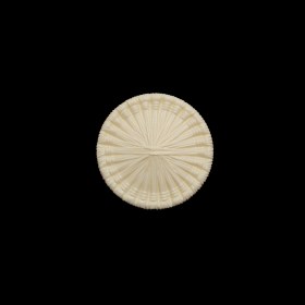 Plastic Shank Back Button – 24L/15mm – Ivory Radiating Sticks Plastic Shank Back Button – 24L/15mm – Ivory Radiating Sticks