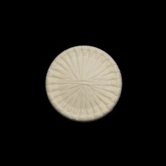Plastic Shank Back Button – 32L/20mm – Ivory Radiating Sticks Plastic Shank Back Button – 32L/20mm – Ivory Radiating Sticks