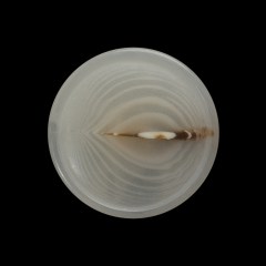 Plastic Shank Back Button – 40L/25.5mm – Ivory and Brown Streak Low Convex Plastic Shank Back Button – 40L/25.5mm – Ivory and Brown Streak Low Convex