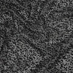 3D Glitter Tulle – Black Puffy Spots 3D Glitter Tulle – Black Puffy Spots