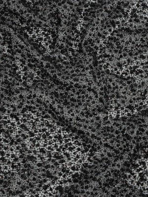 3D Glitter Tulle – Black Puffy Spots 3D Glitter Tulle – Black Puffy Spots