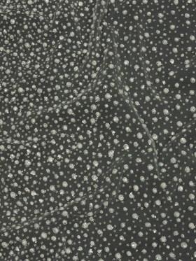 3D Glitter Tulle – White Puffy Spots Gradient 3D Glitter Tulle – White Puffy Spots Gradient