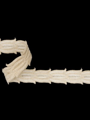 Ivory and White Two-Tone Tulip Chain Embroidered Trim – 1″ Ivory and White Two-Tone Tulip Chain Embroidered Trim – 1″