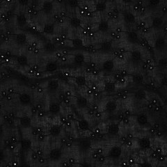 Embroidered Eyelet Cotton Voile – Black Little Flowers on Vines – Naomi Collection Embroidered Eyelet Cotton Voile – Black Little Flowers on Vines – Naomi Collection