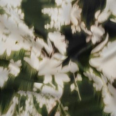 Polyester Mikado – Green and White Ikat Floral Silhouettes – Mood Exclusive Glowscape Garden Print Polyester Mikado – Green and White Ikat Floral Silhouettes – Mood Exclusive Glowscape Garden Print