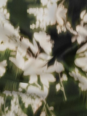 Polyester Mikado – Green and White Ikat Floral Silhouettes – Mood Exclusive Glowscape Garden Print Polyester Mikado – Green and White Ikat Floral Silhouettes – Mood Exclusive Glowscape Garden Print