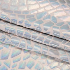 Yaya Han Holographic Foiled Stretch Spandex Polyester Jersey – Metallic Silver Iridescent Broken Glass Abstract – Cosplay Collection Yaya Han Holographic Foiled Stretch Spandex Polyester Jersey – Metallic Silver Iridescent Broken Glass Abstract – Cosplay Collection