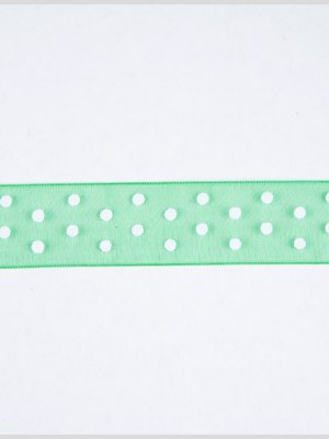 Green Sheer Ribbon Green Sheer Ribbon