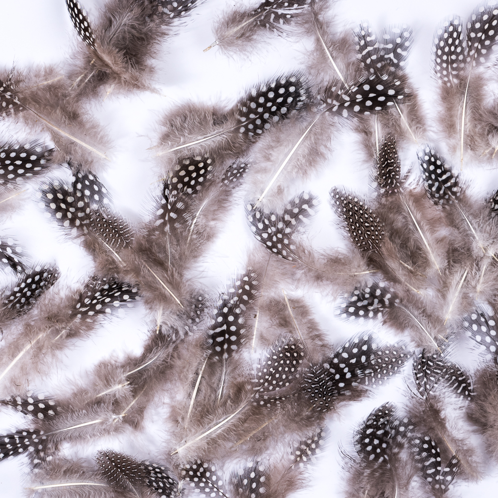 Bag of Natural Guinea Fowl Feathers Bag of Natural Guinea Fowl Feathers