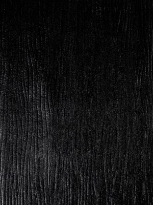 Black Bark Vinyl Black Bark Vinyl