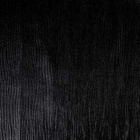 Black Bark Vinyl Black Bark Vinyl