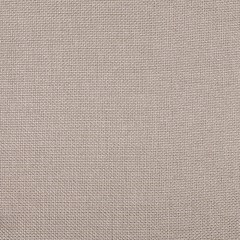 Beige Linen-Like Solid Woven Beige Linen-Like Solid Woven