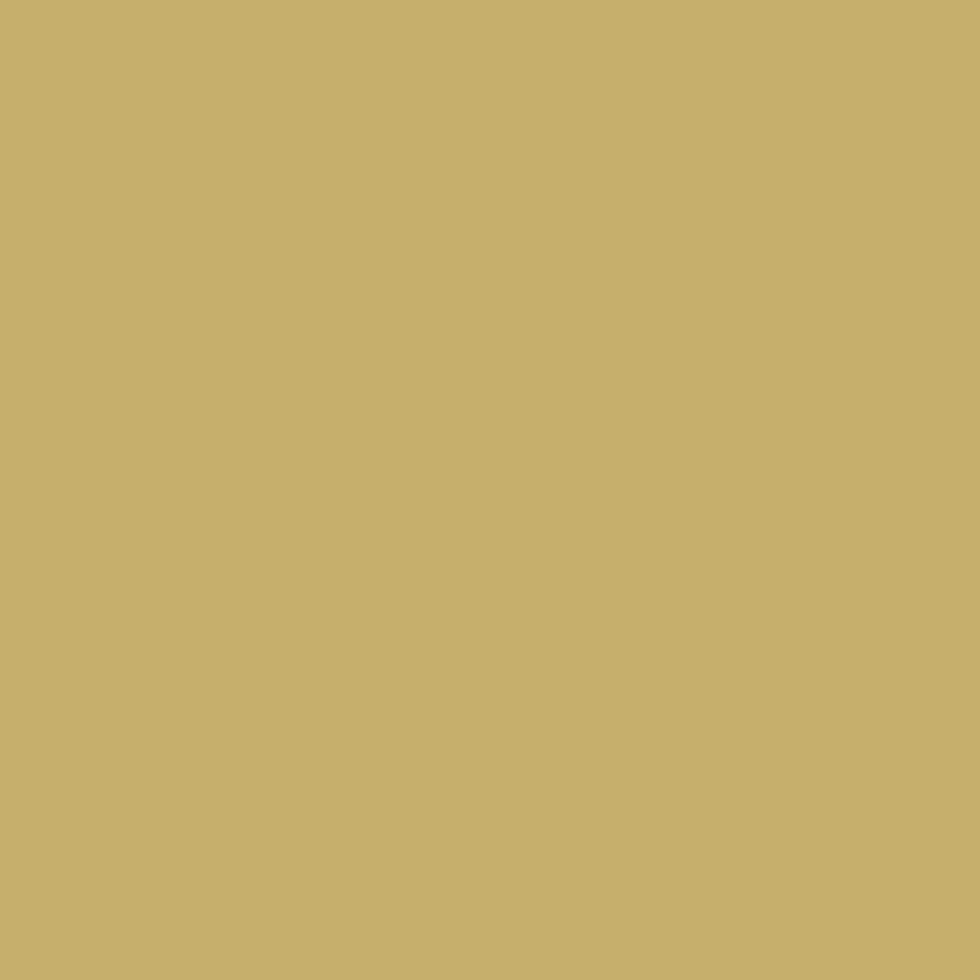 Gutermann Sew All Thread 100m - 713 Light Khaki