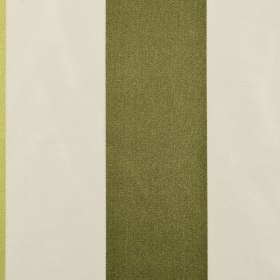 Olive Stripes Regal Olive Stripes Regal