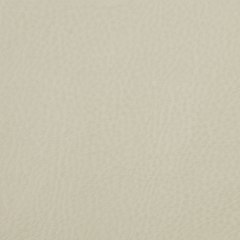 Beige Solid Pebbled Faux Leather Beige Solid Pebbled Faux Leather