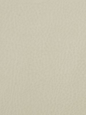 Beige Solid Pebbled Faux Leather Beige Solid Pebbled Faux Leather