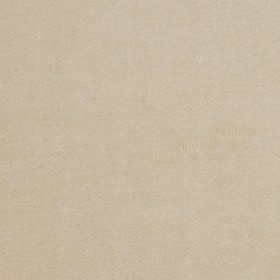 Beige Solid Cotton Velvet Beige Solid Cotton Velvet
