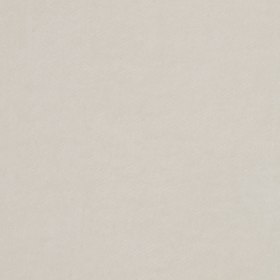 Ivory Solid Cotton Velvet Ivory Solid Cotton Velvet