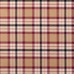 Beige Plaid Cotton Blend Beige Plaid Cotton Blend