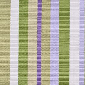 Violet Stripes “Funhouse” Violet Stripes “Funhouse”