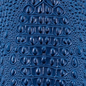 Blue Crocodile Vinyl Blue Crocodile Vinyl