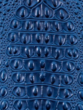 Blue Crocodile Vinyl Blue Crocodile Vinyl