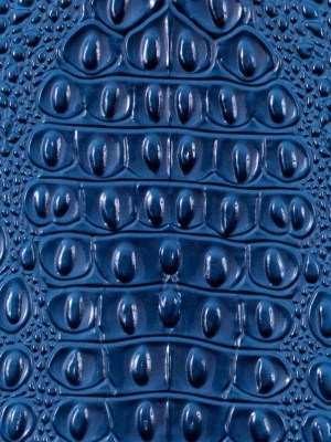 Blue Crocodile Vinyl Blue Crocodile Vinyl