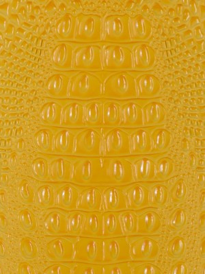 Yellow Crocodile Vinyl Yellow Crocodile Vinyl